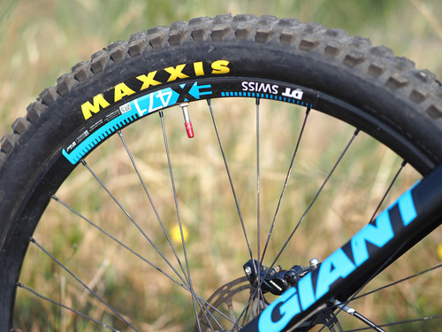 Guía práctica: ¿Cómo elegir las mejores cubiertas Maxxis para tu bicicleta  de montaña? - LaRiderShop Vielha